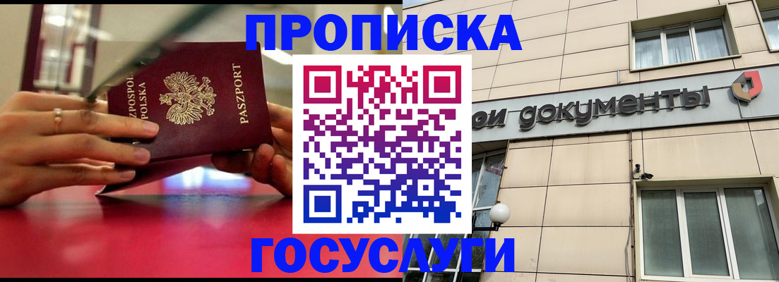 временная регистрация недорого в Новом Осколе